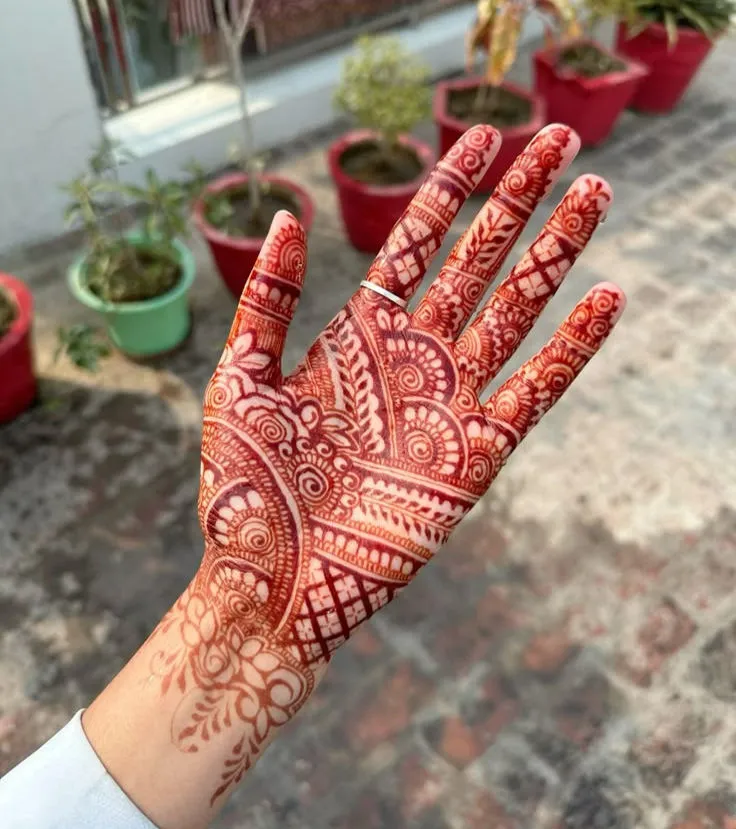 Palm Mehndi Designs
