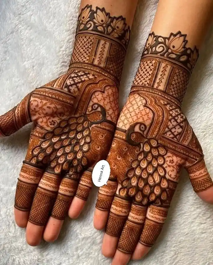 Front Full Hand Mehndi Design